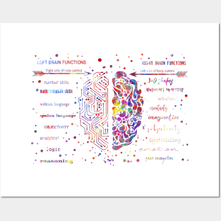 Left and right brain function Posters and Art